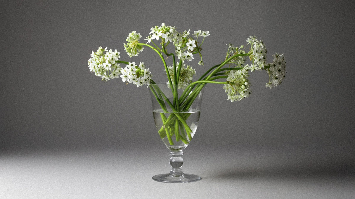 Klar glasvase med stillet fod indeholdende hvide blomster med grønne stilke på grå baggrund