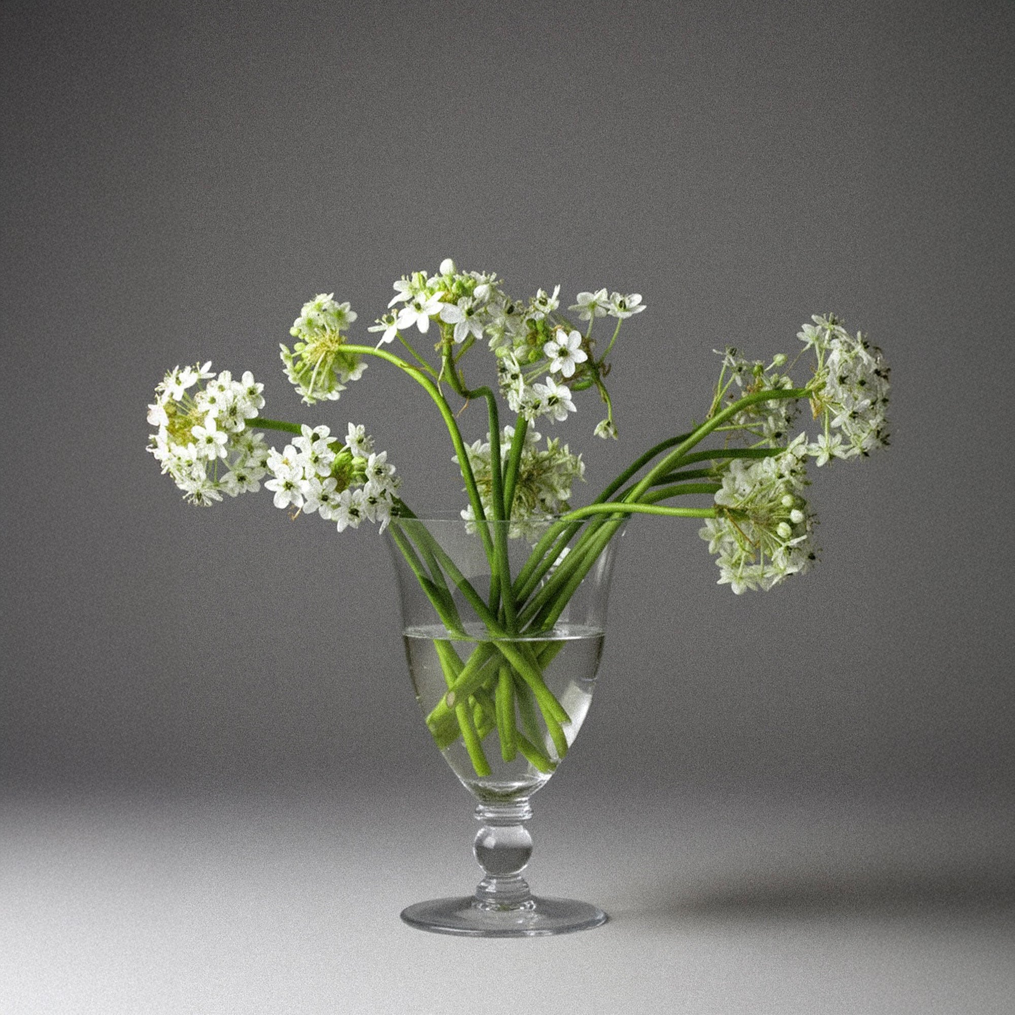 Mathilde | Vase - 1 stk.